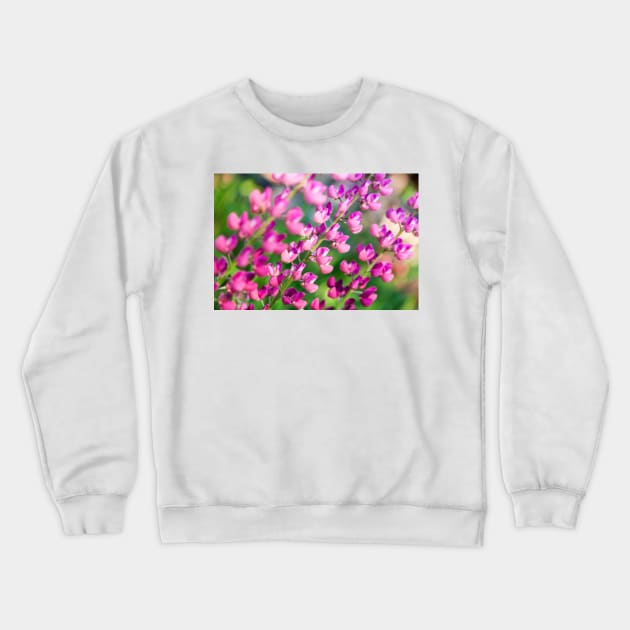 Lupine Crewneck Sweatshirt by ansaharju